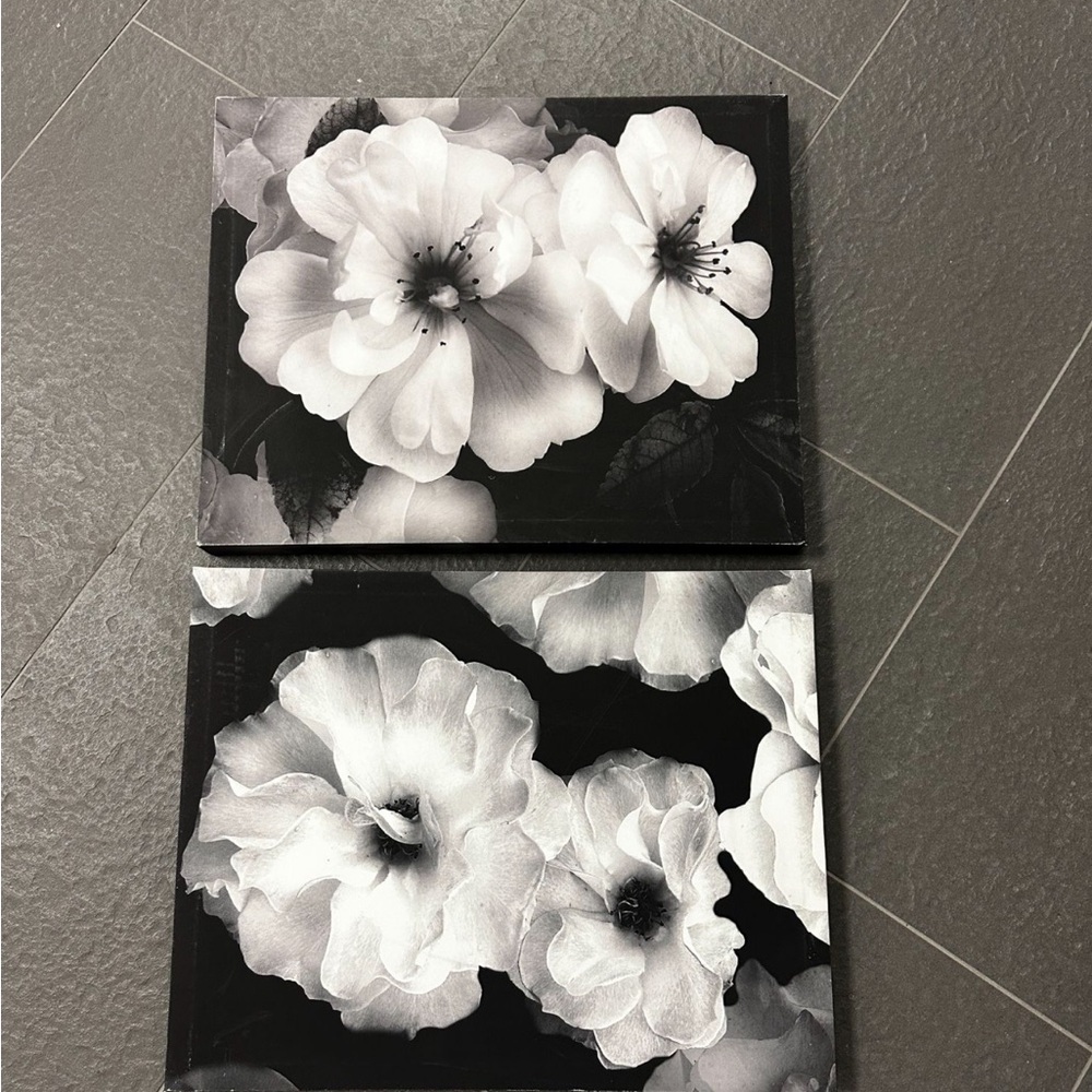 Two black and white floral arts